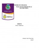 ENSAYO ETICA Y BIOETICA.