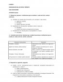 ORGANIZACIÓN DEL SECTOR DE TRÁNSITO FASE DE REFLEXIÓN