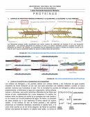 EJEMPLOS DE PROTEÍNAS FIBROSAS DIFERENTES A LA QUERATINA, EL COLÁGENO Y LA SILK FIBROINA