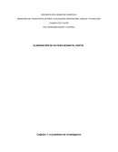 ELABORACIÓN DE UN PESO NEONATAL DIGITAL.