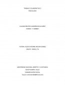 Análisis del Debate ¿Cómo es el comportamiento de los ciudadanos en un sistema democrático?