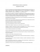 Lineas de vida para poblacion de 10 a 19 años