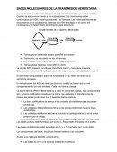Bases moleculares de transmision hereditaria