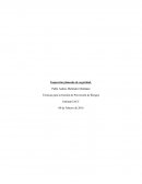 Tecnicas de prevencion de riesgos.