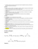 Investiga la cadena de reacciones necesarias para producir los siguientes productos, partiendo de alguno de los siguientes petroquímicos.