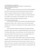 LA CONCEPCION DE LA ENSEÑANZA.