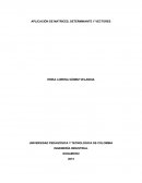 APLICACIÓN DE MATRICES, DETERMINANTE Y VECTORES
