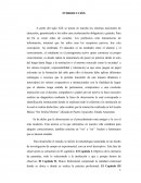 A partir del siglo XIX se ponen en marcha los sistemas nacionales de educación