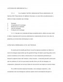 ESTRATEGIA EMPRESARIAL EN EL SECTOR REAL.