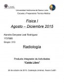 Producto Integrador de Actividades “Caída Libre”