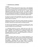 DESCRIPCION DE LA EMPRESA “Diagnósticos Expertos System Salud”