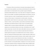 El feminismo - Ensayo