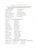 Resumen técnicas de comunicación