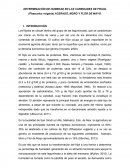 DETERMINACIÓN DE HUMEDAD EN LAS VARIEDADES DE FRIJOL (Phascolus vulgaris) ACERADO, MORO Y FLOR DE MAYO.