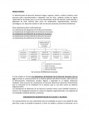 MARCO TEORICO Recursos Humanos