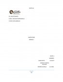 Laboratorio creacion empresarial.