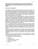 Determinación de las Características, Relaciones, Distribución y Jerarquización de los Flujos Peatonales en la Zona Típica de La Serena