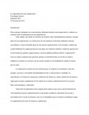 La importancia de una organización