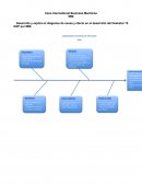 Caso International Business Machines