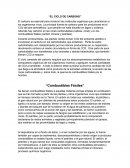 El ciclo de carbono. Combustibles fósiles