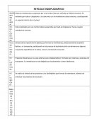 RETÍCULO ENDOPLASMÁTICO.