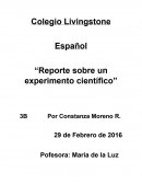 Colegio Livingstone Español “Reporte sobre un experimento científico”