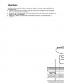 Identificar los fenómenos de difusión y osmosis con relación a la función de permeabilidad de la membrana celular.