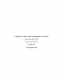 Organizaciones Promotoras de la Prevención Dentro de la Empresa.
