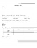 Ensayo castellano CHEQUEO DE LENGUA