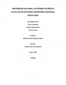 Hermenéutica Práctica Supervisada