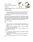 BLOQUE I “ANIMALES” SITUACIÓN DIDÁCTICA: “MAMÍFEROS”