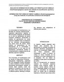 ANALISIS DE GERMINACION EN SEMILLAS FORESTALES DE CAMBULO (Erythrinapoeppigiana) usando dos métodos de escarificación (química y biológica)