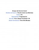 Un gran Ensayo del Servicio Social