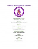 Ensayo calidad de software.