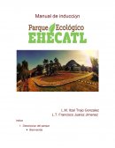 Manual de Induccion.