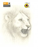 Un milagro para Lorenzo.