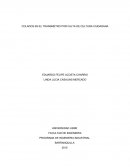 COLADOS EN EL TRANSMETRO POR FALTA DE CULTURA CIUDADANA