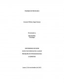 PROGRAMA DE FONOAUDIOLOGIA