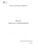 Estructura y análisis de mercado