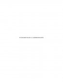 Fundamentos de la administracion. Principio de la división del trabajo