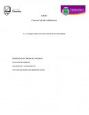 Ensayo sobre la función social de la Universidad