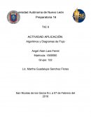 TIC ll ACTIVIDAD APLICACIÓN Algoritmos y Diagramas de Flujo