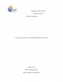 ¿Qué hacer al comenzar un Régimen de ejercicios?