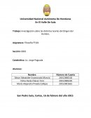 Investigación sobre las distintas teorías del Origen del Hombre.