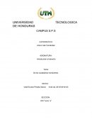 De los cuidadanos hondureños.