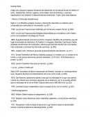 Resumen de La ciencia en su historia