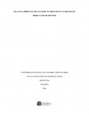 BALANCE AMBIENTAL DEL FLUJO DE NUTRIENTES EN UN SISTEMA DE PRODUCCION DE BOVINOS