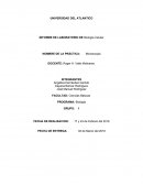 Informe Biologia celular. Microscopia