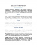 CONSULTANT BREWER DESCRIPCIÓN GENERAL