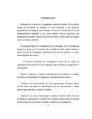 Trabajo Especial de Grado Campaña Publicitaria Turistica CAPITULO 1